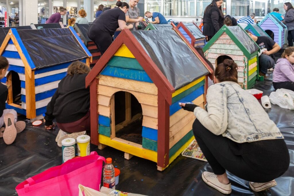 Grab a paintbrush – CapeGate’s Dogbox Project needs you on Mandela Day