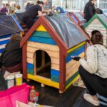 Grab a paintbrush – CapeGate’s Dogbox Project needs you on Mandela Day