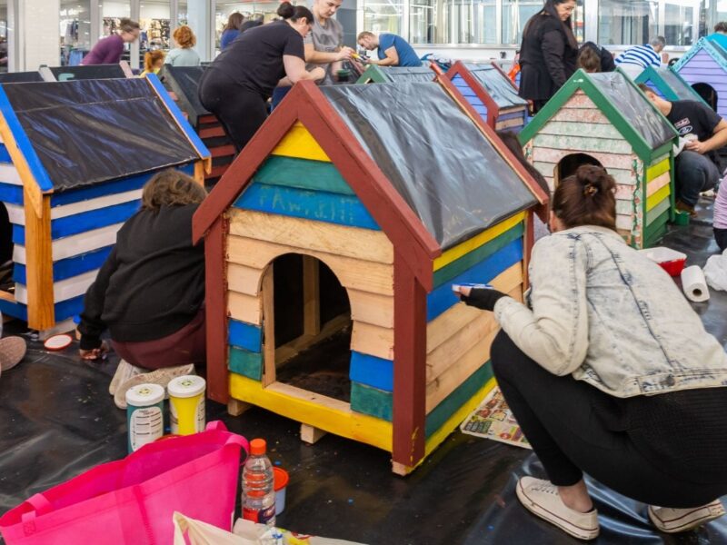 Grab a paintbrush – CapeGate’s Dogbox Project needs you on Mandela Day