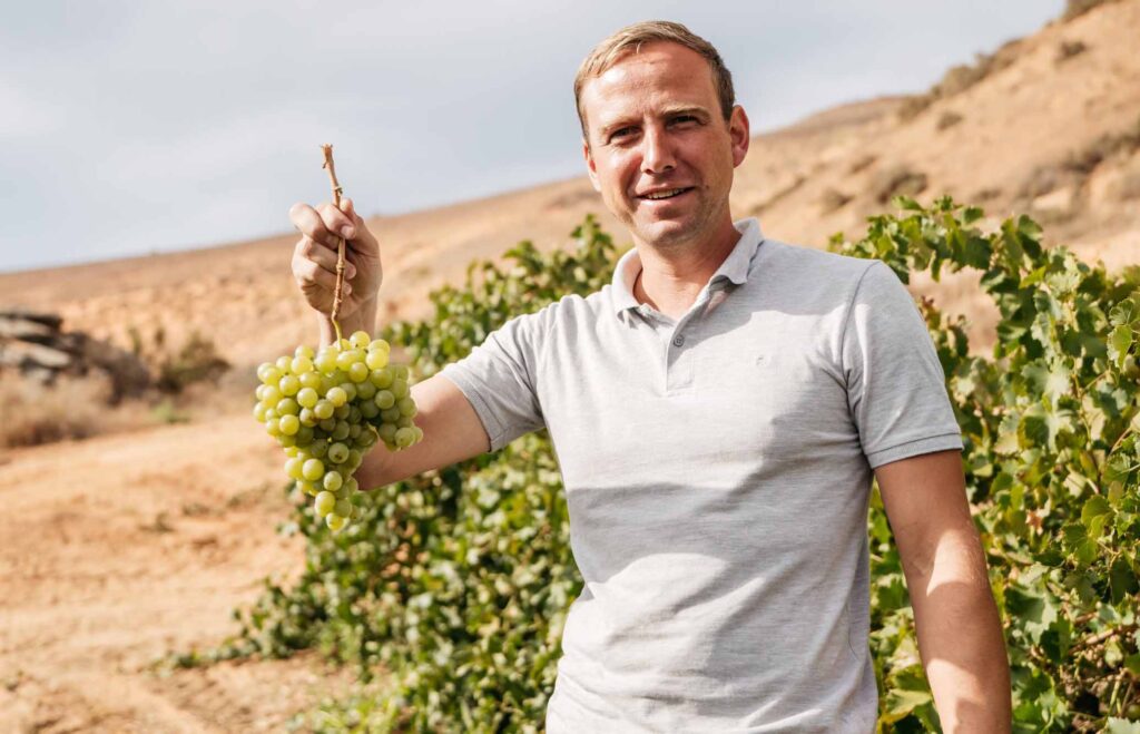 South Africa makes world-class winemakers – does it make world-class wine businesses?