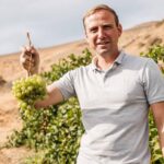 South Africa makes world-class winemakers – does it make world-class wine businesses?