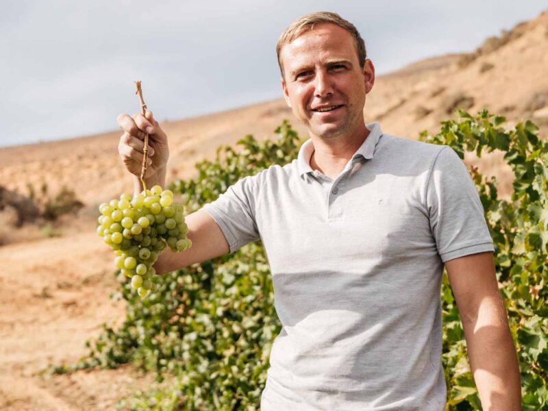 South Africa makes world-class winemakers – does it make world-class wine businesses?