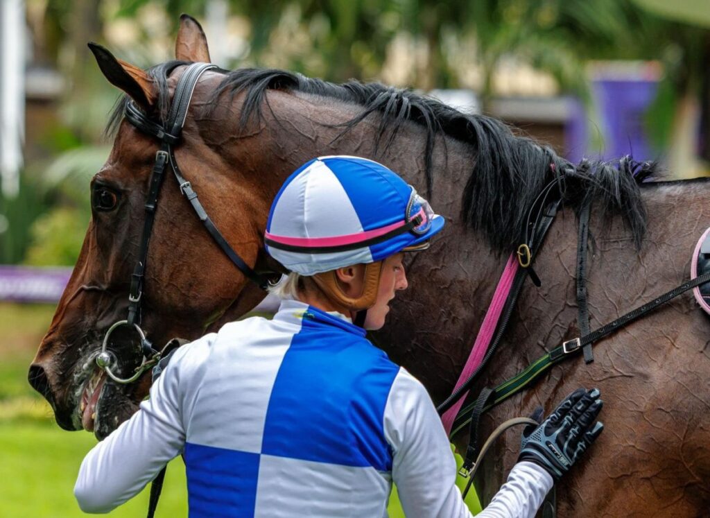 How careful training makes for a happy, healthy horse for the 2026 Hollywoodbets Durban July
