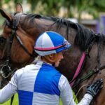 How careful training makes for a happy, healthy horse for the 2026 Hollywoodbets Durban July