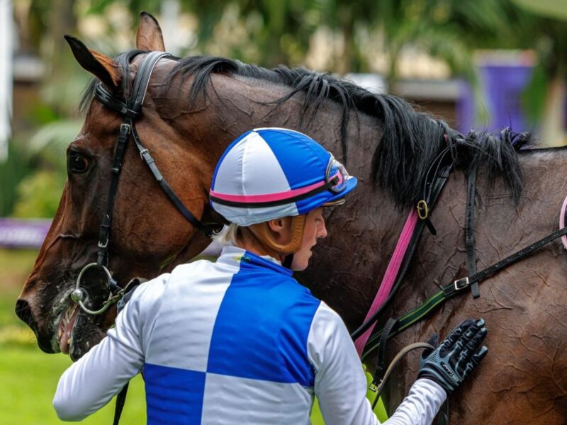 How careful training makes for a happy, healthy horse for the 2026 Hollywoodbets Durban July