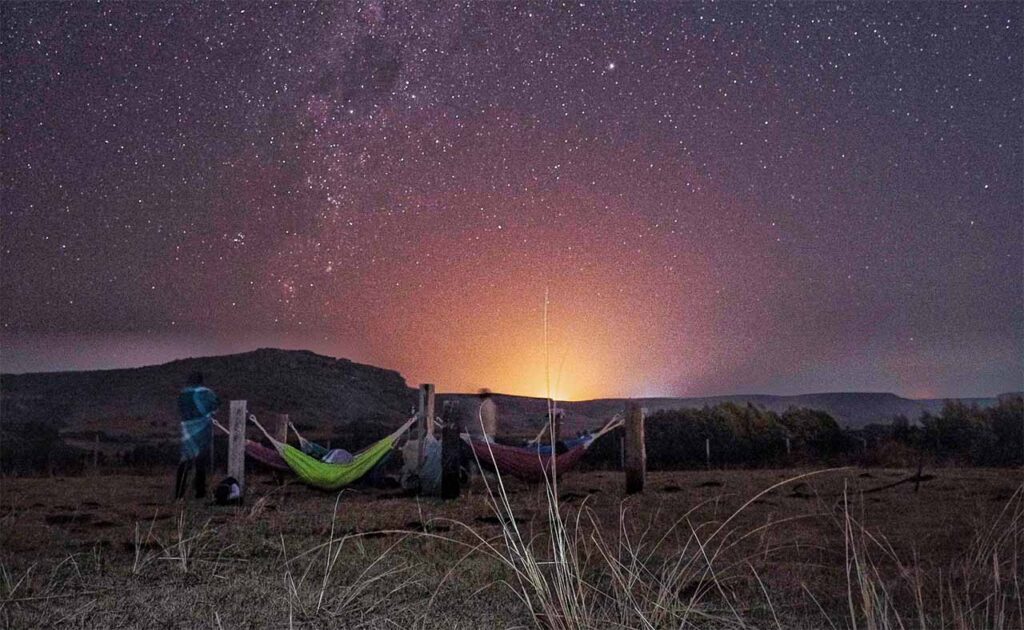 Pet-friendly accommodation at Antbear Eco Lodge