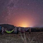 Pet-friendly accommodation at Antbear Eco Lodge
