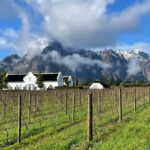 Great Turnabout Winemaker’s Dinner at Brookdale Estate in the Paarl Winelands