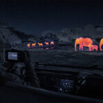 New Thermal Night Safari & Stargazing Experience at select Tintswalo lodges