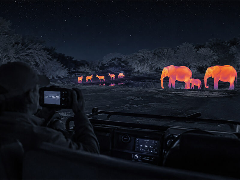 New Thermal Night Safari & Stargazing Experience at select Tintswalo lodges