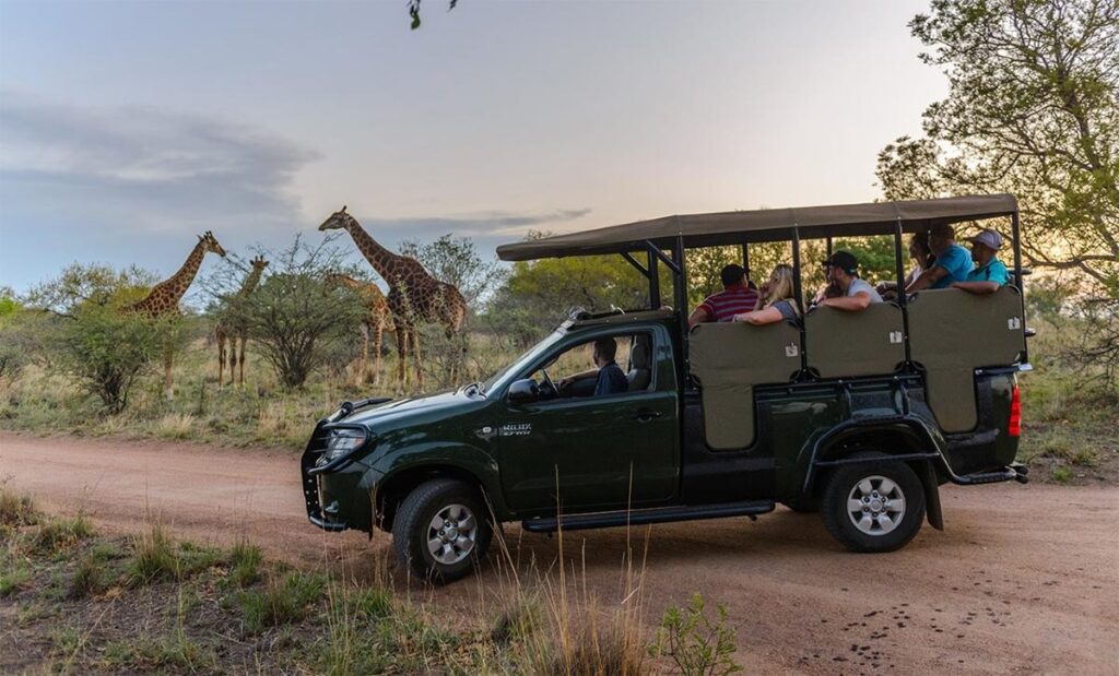 Winter bucket-list breaks: The 6 experiences worth travelling for this season