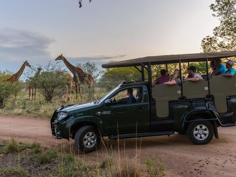 Winter bucket-list breaks: The 6 experiences worth travelling for this season