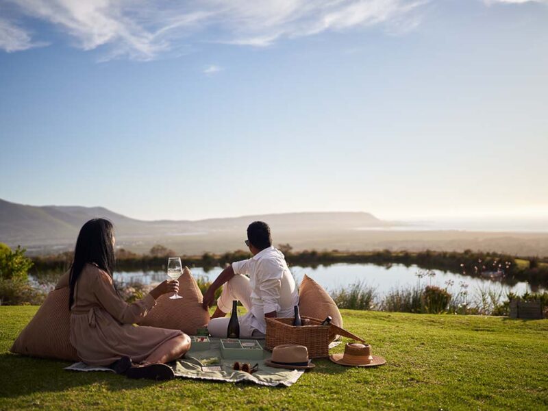 Get outdoors and picnic on the grass at Cape Point Vineyards