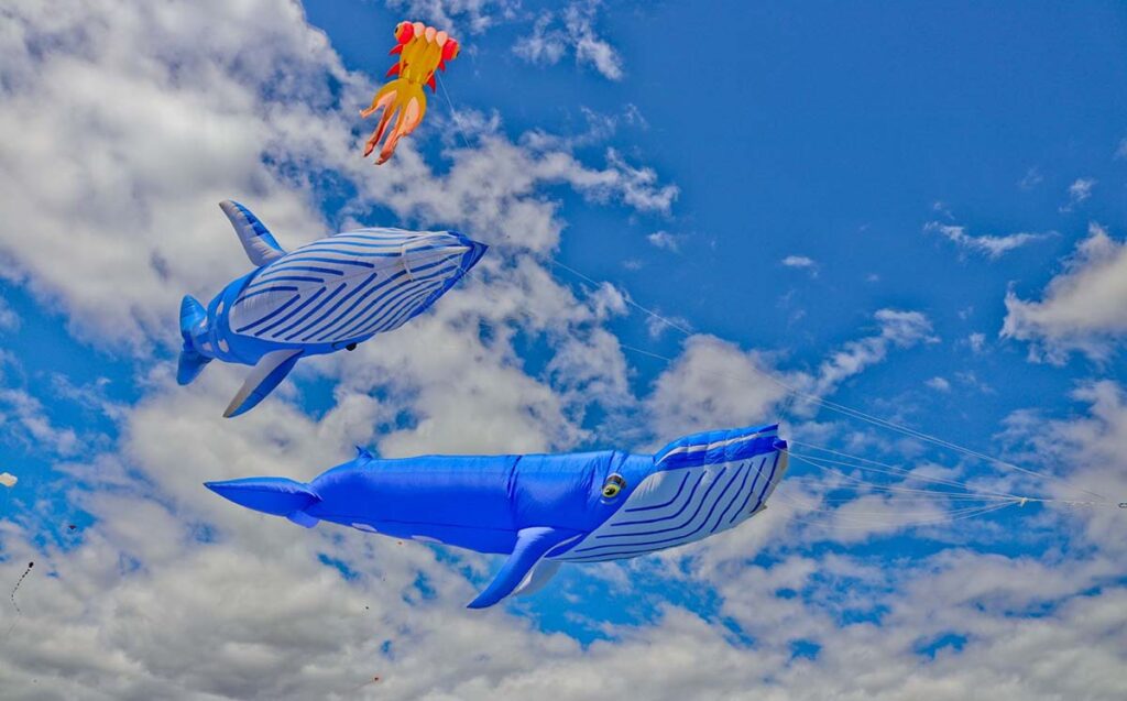 Colour the sky at the Cape Town International Kite Festival at Youngsfield Military Base