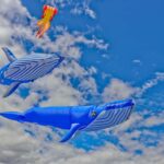 Colour the sky at the Cape Town International Kite Festival at Youngsfield Military Base