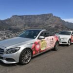 Pink cars spotlight UNESCO World Heritage Series: Table Mountain & the Cape Floral Region