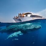 Autumn sun in Qatar: Go on an adventure and explore the great outdoors