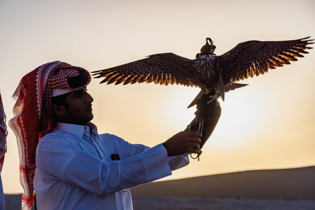 when is the best time to visit Qutar