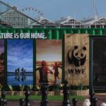 New WWF South Africa V&A Waterfront experience shows how close nature really is