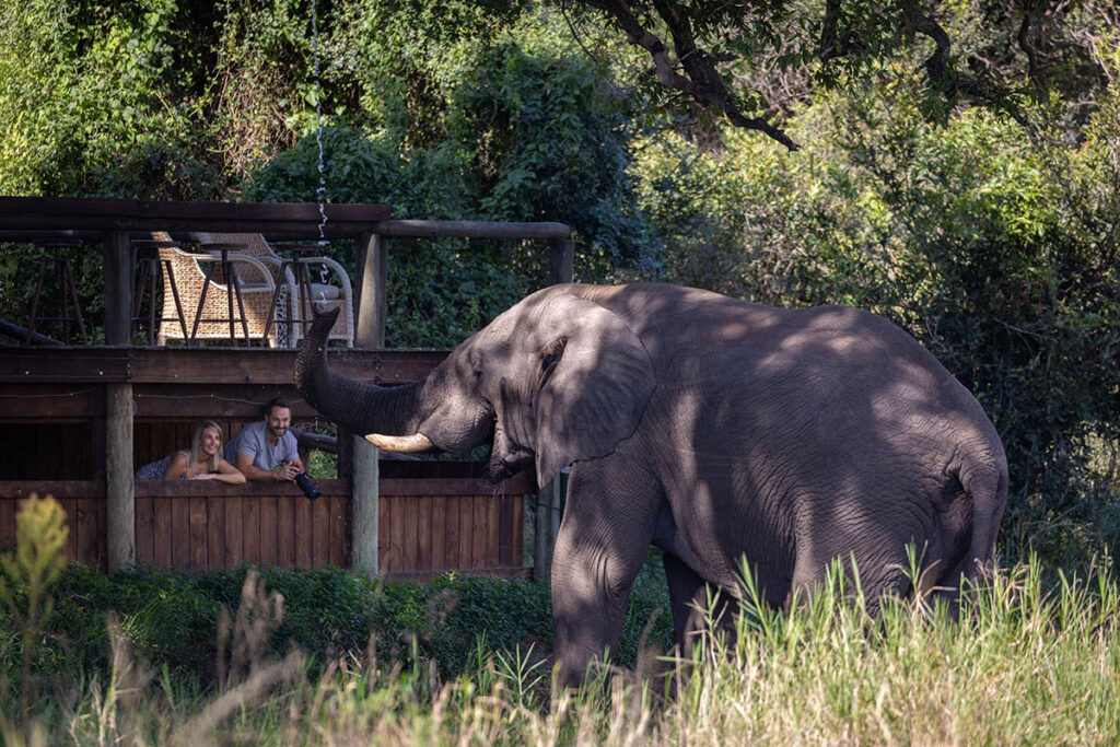 South Africa’s 15 Best Resorts by Condé Nast Traveler